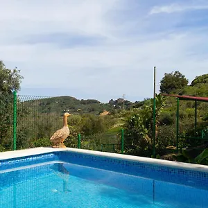 Appartement Live Finca El Gamonal Bajo Con Piscina Y Jardin En La Naturaleza, Santa Brígida